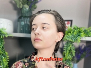 Aftonhase