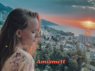 Amismett