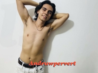 Andruwpervert