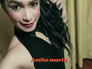 Antho_marin