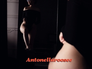 Antonellaroosee