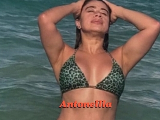 Antonellla