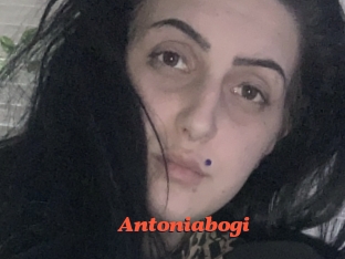 Antoniabogi