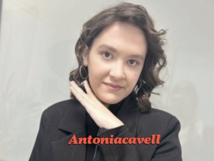 Antoniacavell