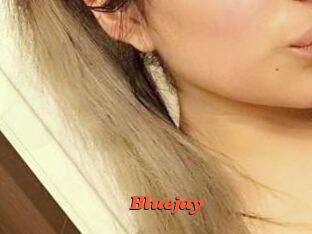 Blue_jay