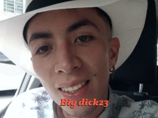 Big_dick23