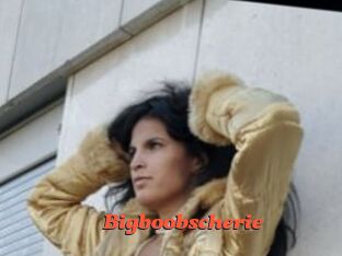 Bigboobscherie