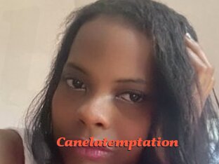 Canelatemptation