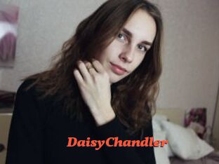 Daisy_Chandler