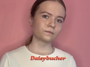 Daisybucher