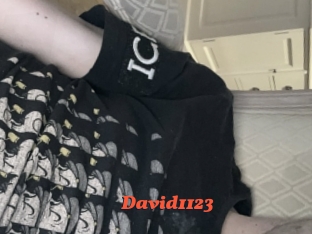 David1123