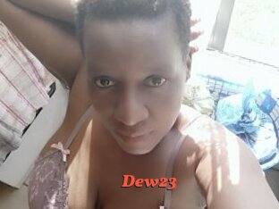Dew23