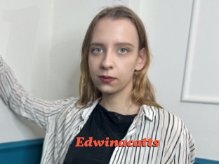 Edwinacatts