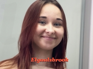 Elgaalsbrook