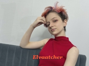 Elvaatcher