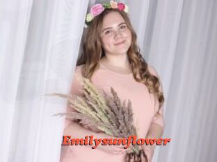 Emilysunflower