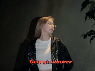 Georginaborer