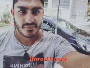 Harold_horny