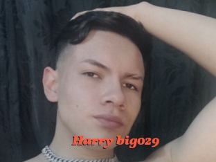 Harry_big029