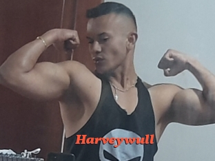 Harveywull