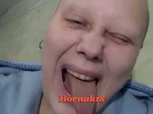 Hornak18