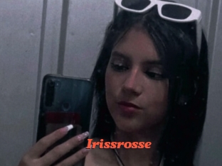 Irissrosse