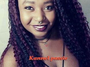 Kannel_passie