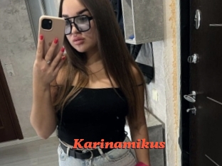Karinamikus