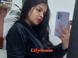 Lilybosse