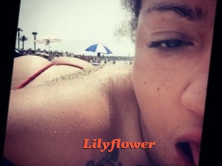 Lilyflower