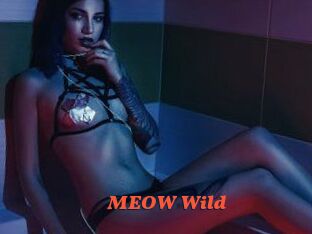 MEOW_Wild