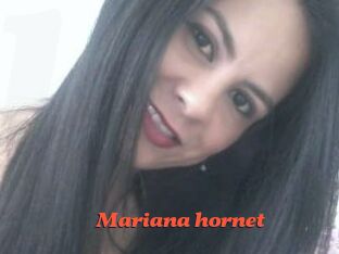 Mariana_hornet