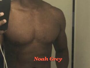 Noah_Grey