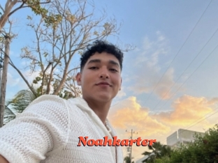 Noahkarter