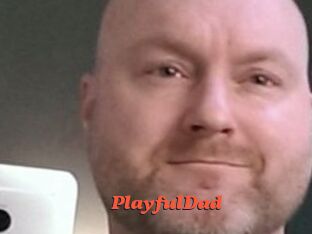 PlayfulDad