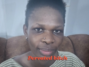 Pervated_bitch