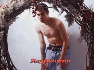 Playfultorvin