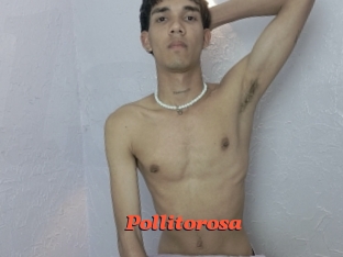 Pollitorosa