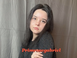 Primrosegabriel