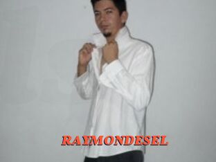 RAYMONDESEL