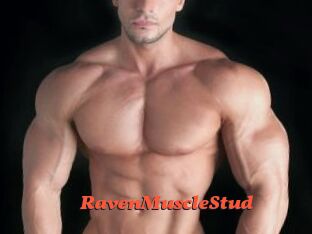 RavenMuscleStud