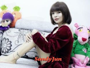 SandyJun