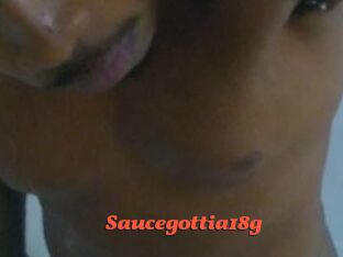 Saucegottia18g