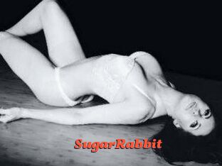 SugarRabbit