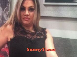 SunnyTexas
