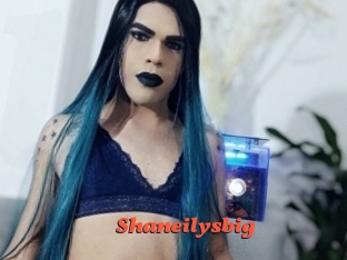 Shaneilysbig