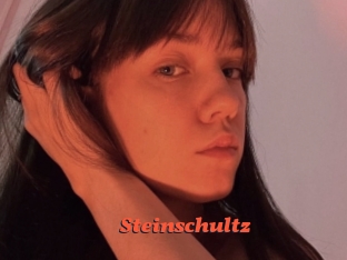 Steinschultz