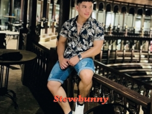 Stevebunny