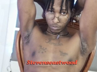 Stevenseastwood