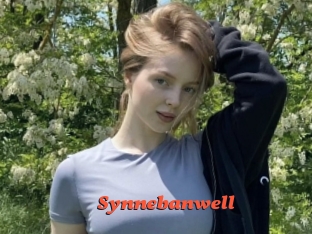 Synnebanwell